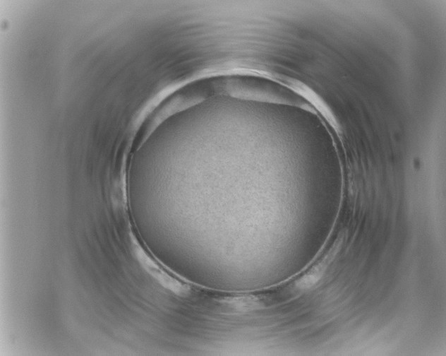 X0000070411388200606161400