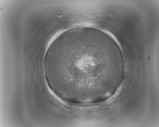 X0000070411389200606161400