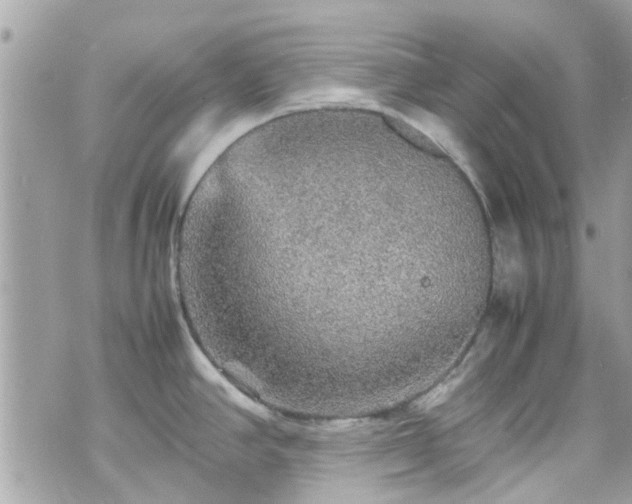 X0000070411390200606161400