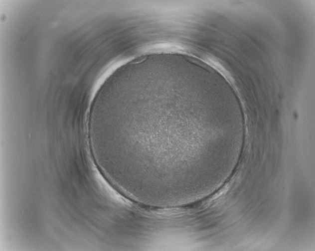 X0000070411392200606161400