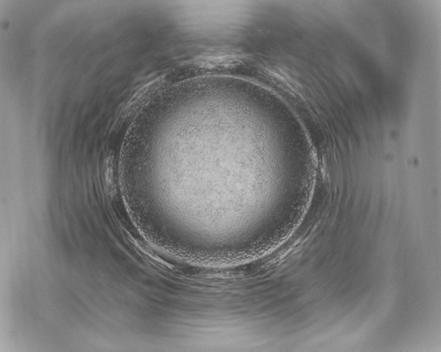 X0000070411396200606161359