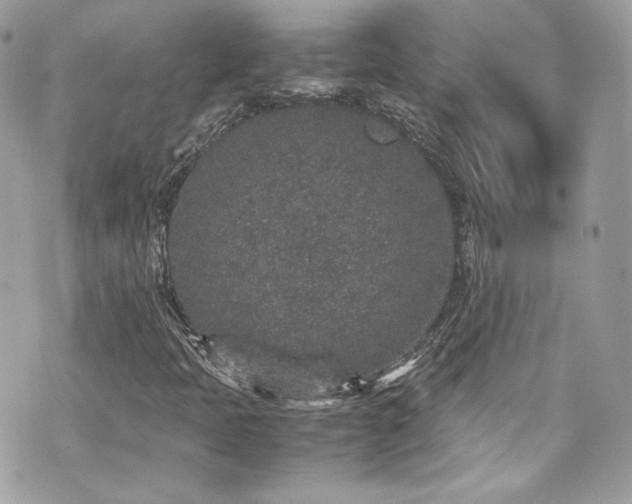 X0000070411397200606161359