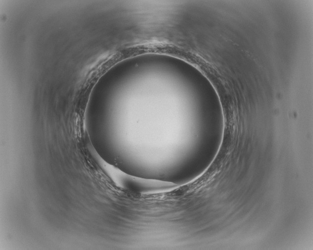 X0000070411398200606161359