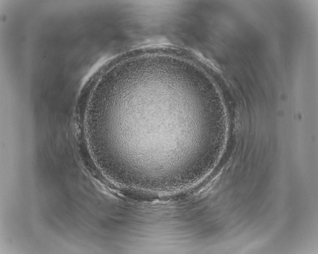 X0000070411400200606161359