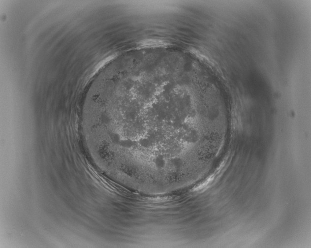 X0000070411401200606161359