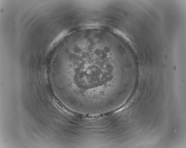 X0000070411403200606161359