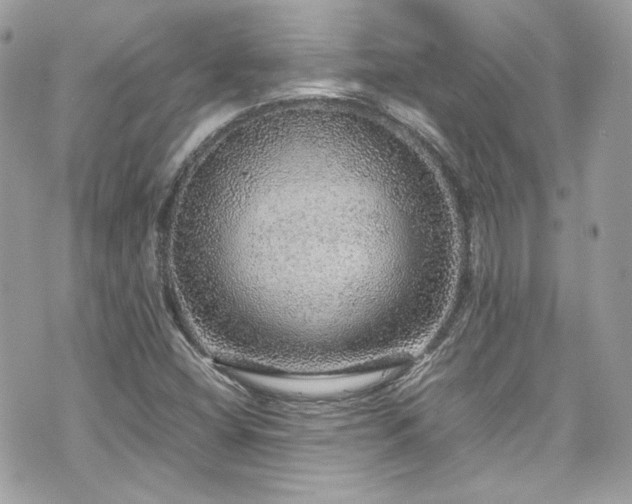 X0000070411404200606161359