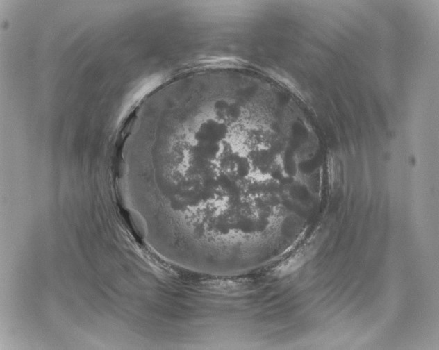 X0000070411405200606161359