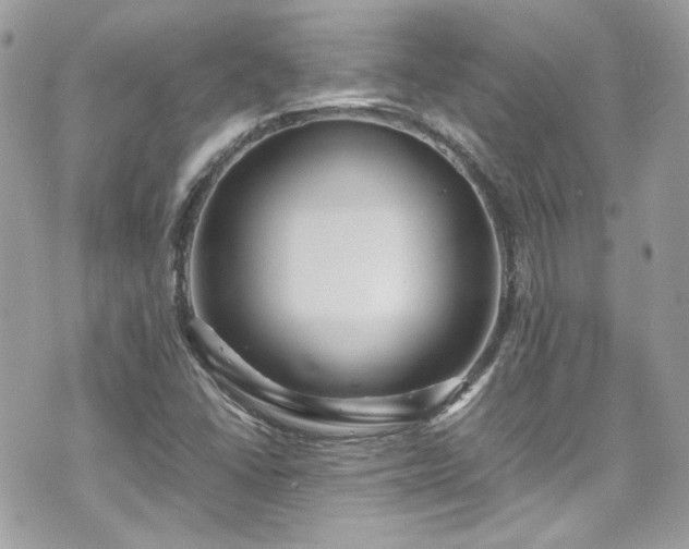 X0000070411406200606161359