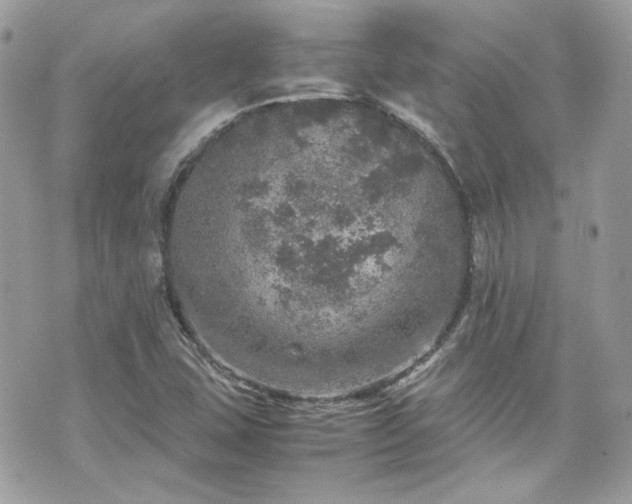 X0000070411407200606161359