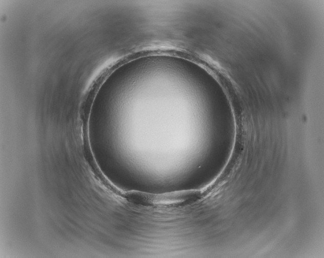 X0000070411408200606161359