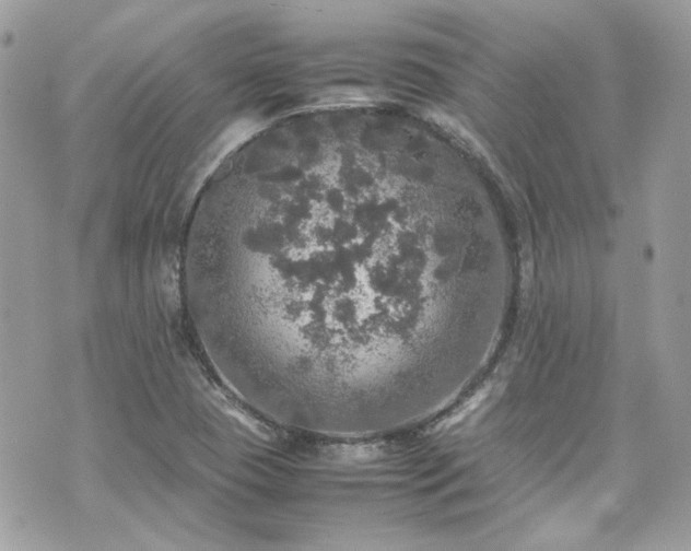 X0000070411409200606161359