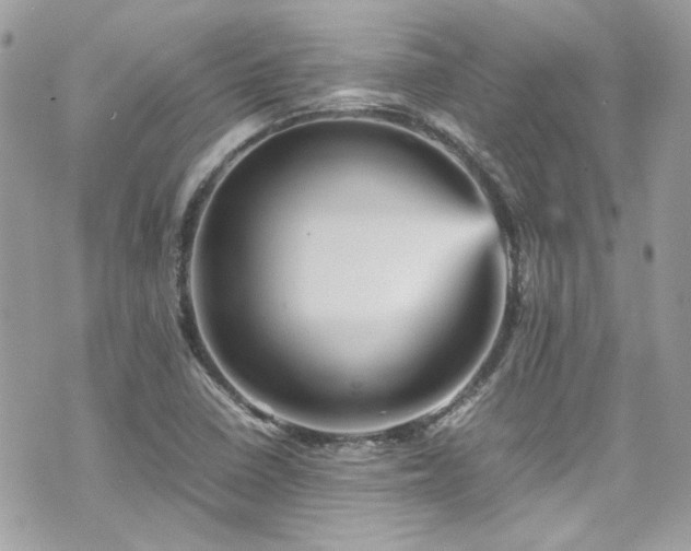 X0000070411410200606161359