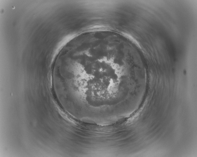 X0000070411413200606161359