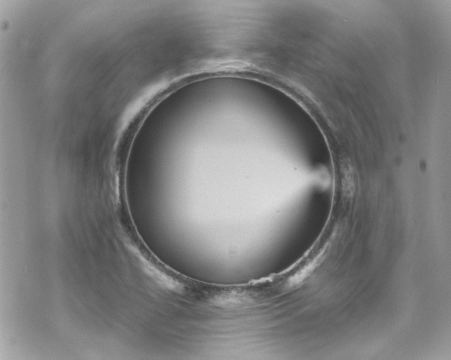 X0000070411414200606161359