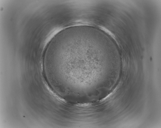 X0000070411415200606161359