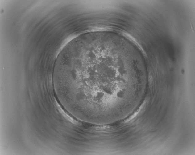 X0000070411417200606161359