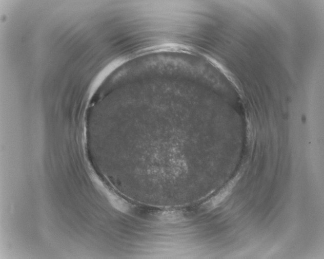 X0000070411418200606161359