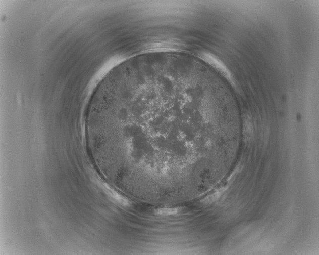 X0000070411419200606161359