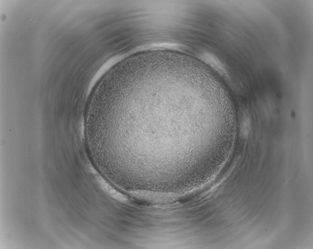 X0000070411420200606161359