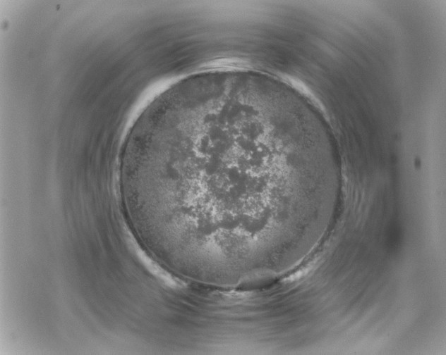 X0000070411421200606161359