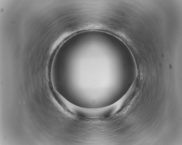 X0000070411422200606161359