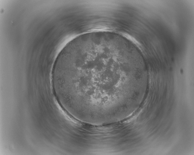 X0000070411423200606161359