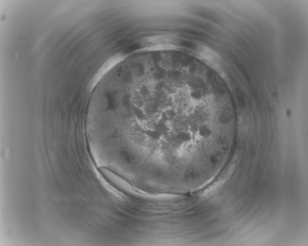 X0000070411425200606161400