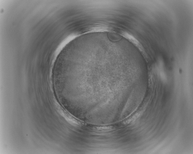 X0000070411427200606161400