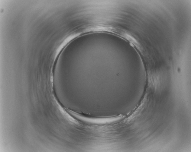 X0000070411428200606161400