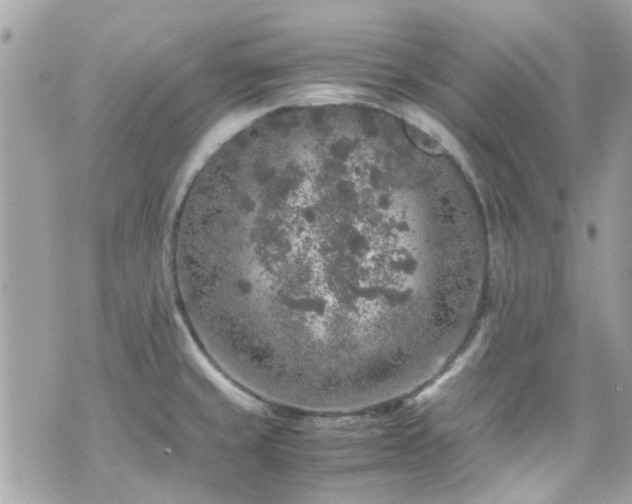 X0000070411429200606161400