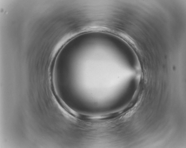 X0000070411430200606161400