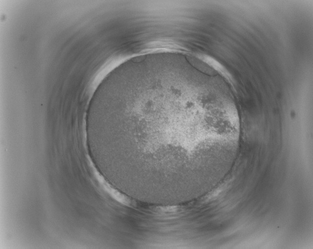 X0000070411431200606161400