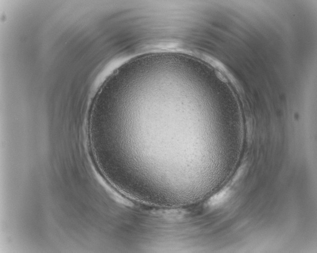 X0000070411432200606161400