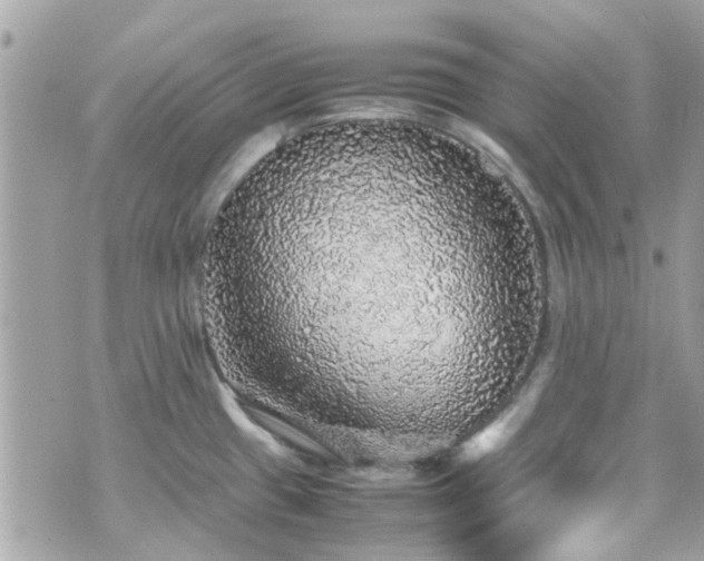 X0000070411433200606161400