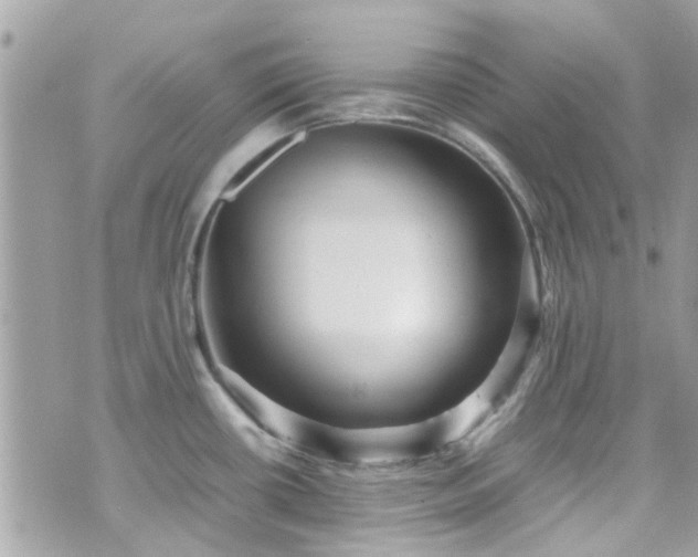 X0000070411434200606161400