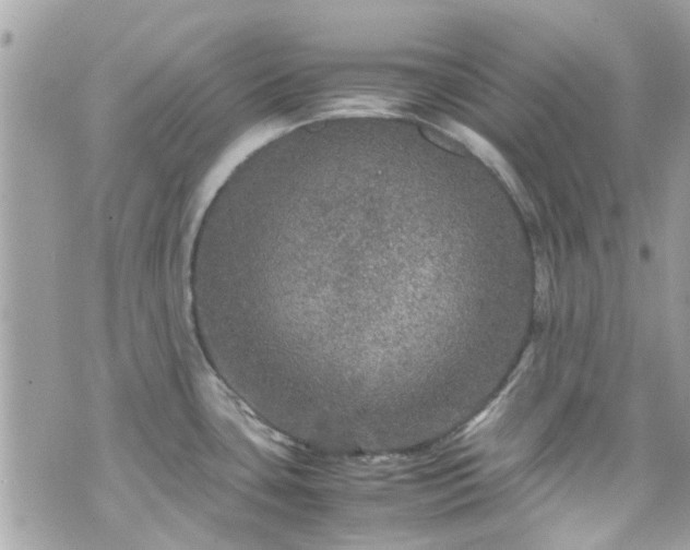 X0000070411435200606161400