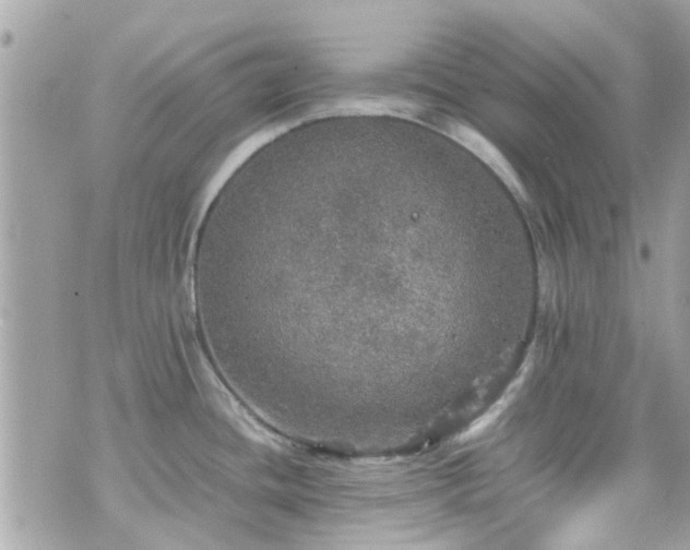 X0000070411436200606161400