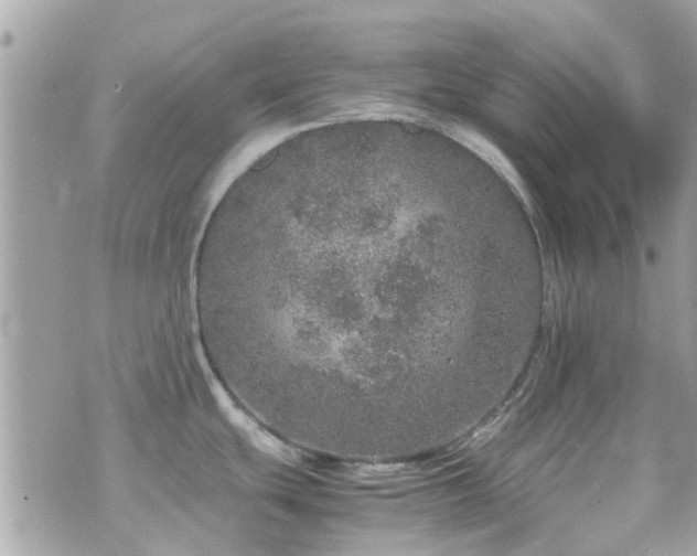 X0000070411439200606161400