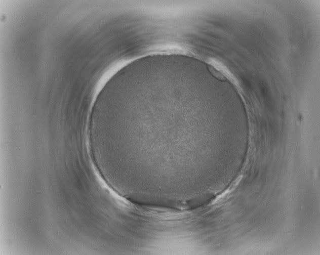 X0000070411440200606161400