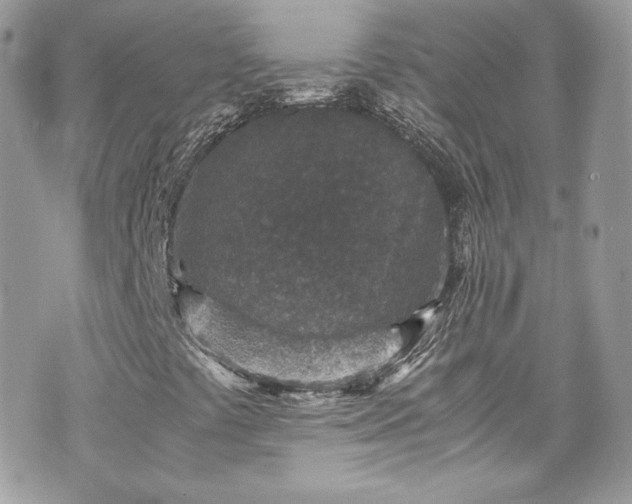 X0000070411441200606161359