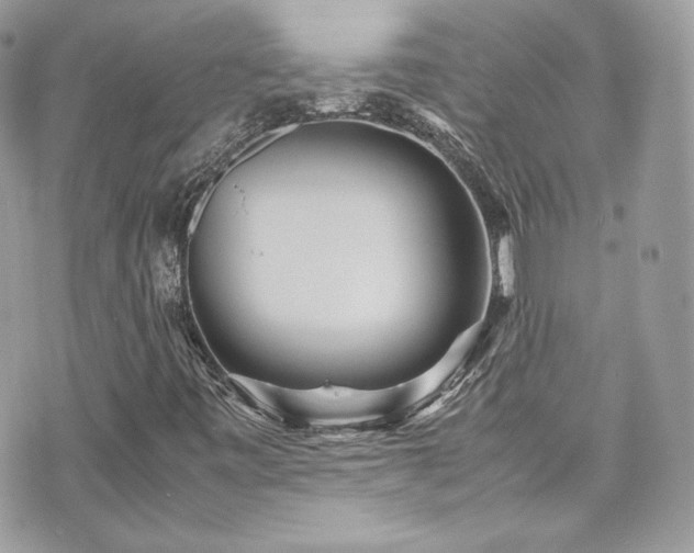 X0000070411443200606161359