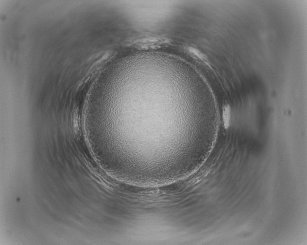 X0000070411444200606161359