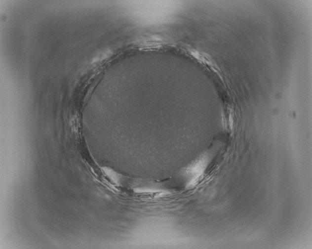 X0000070411445200606161359