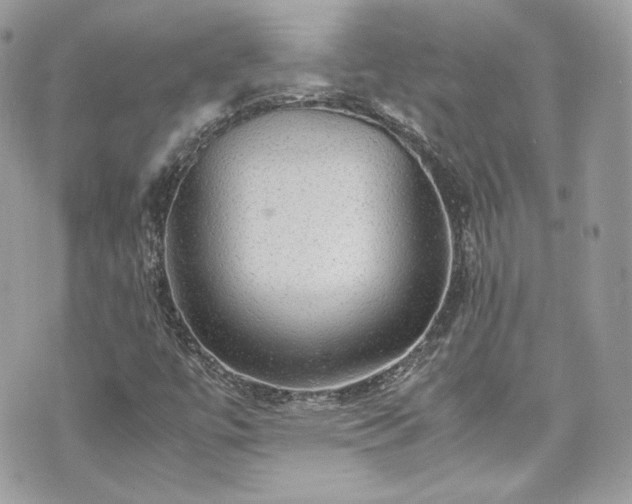 X0000070411447200606161359