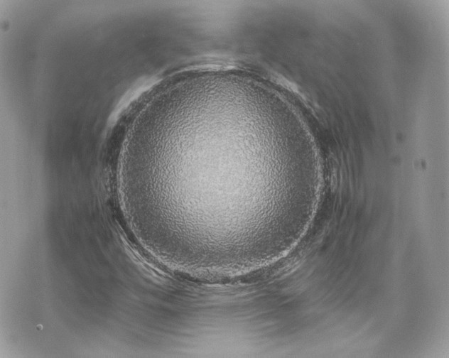 X0000070411448200606161359