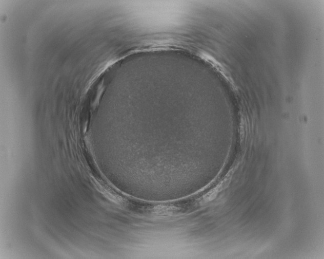 X0000070411449200606161359