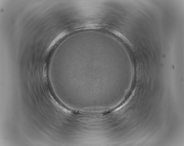 X0000070411450200606161359