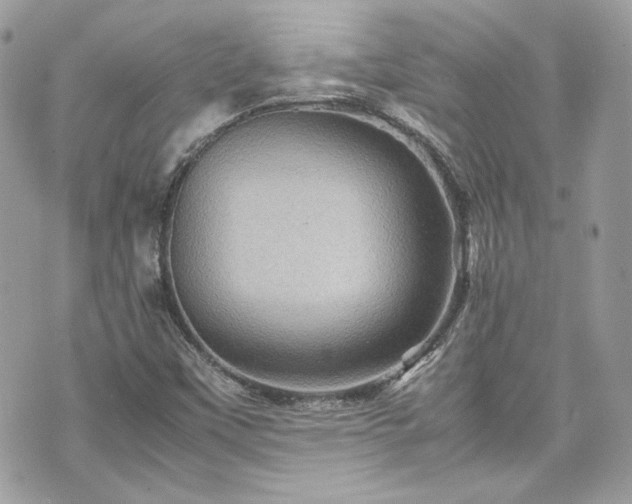 X0000070411451200606161359