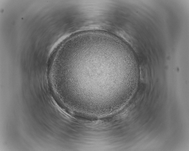 X0000070411452200606161359